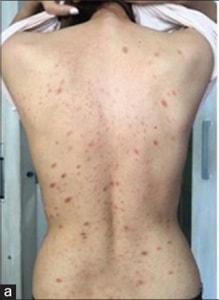 Ashayer et al.