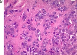 Chavez et al.