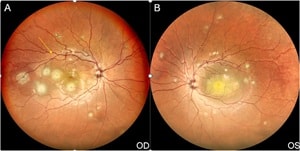 Jain et al.