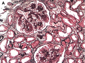 Jiang et al.