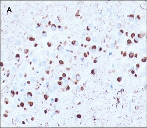 Kawles et al.