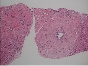 Naitoh et al.