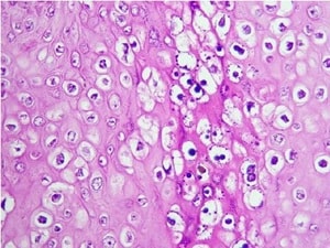 Njoumi et al.