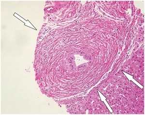 Seo et al.
