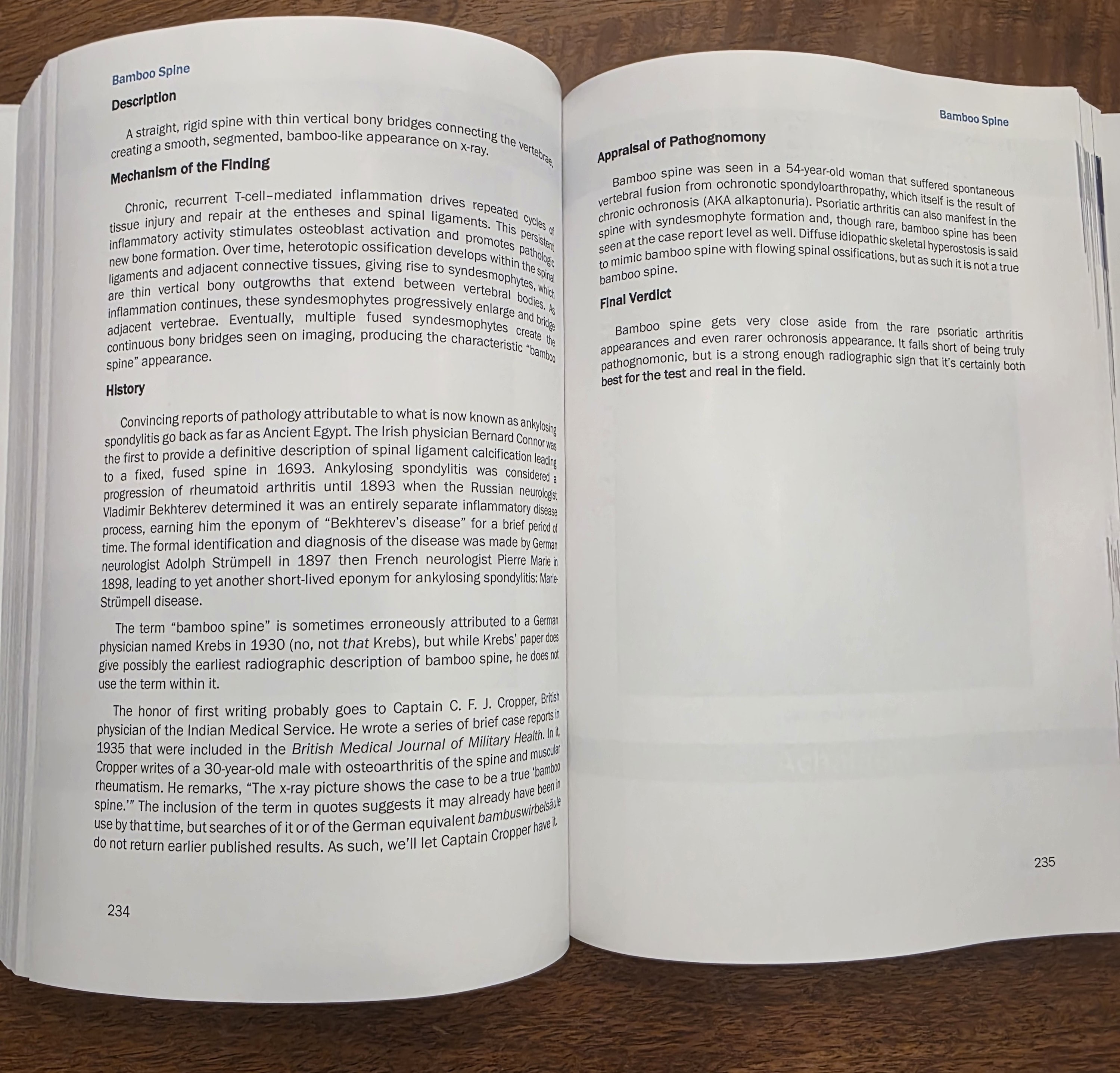 Sample entry text spread: Bamboo Spine description, mechanism, and verdict